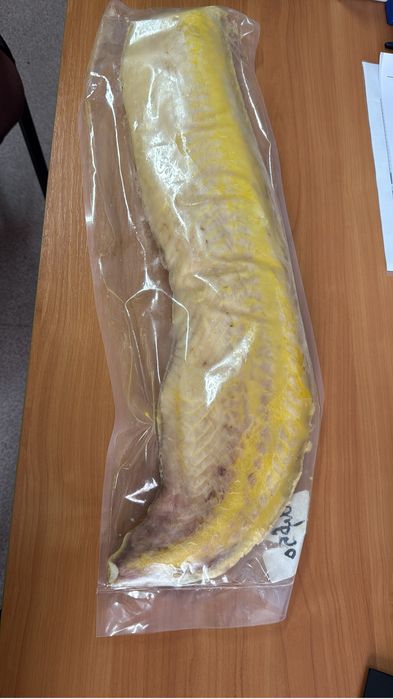 Осетр филе свежемороженый в вакууме