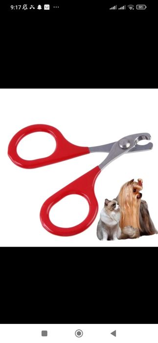 Itlar va mushuklar uchun