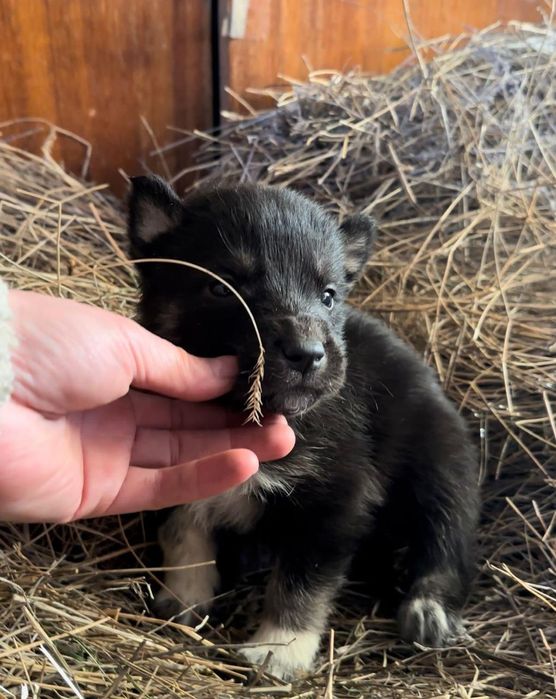 Мальчики и девочки