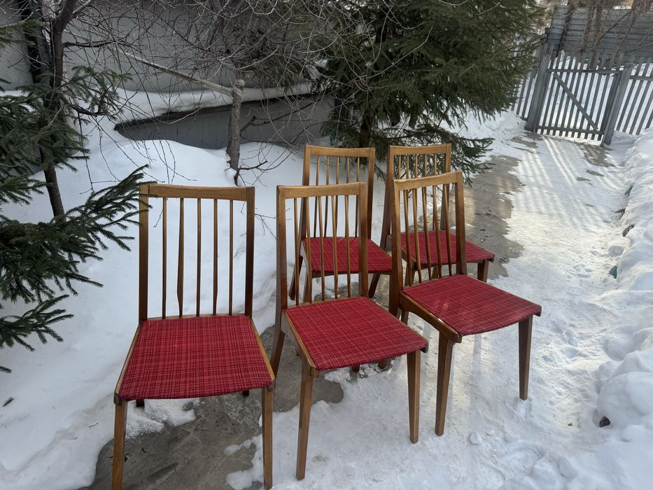 Стулья венские, Польша