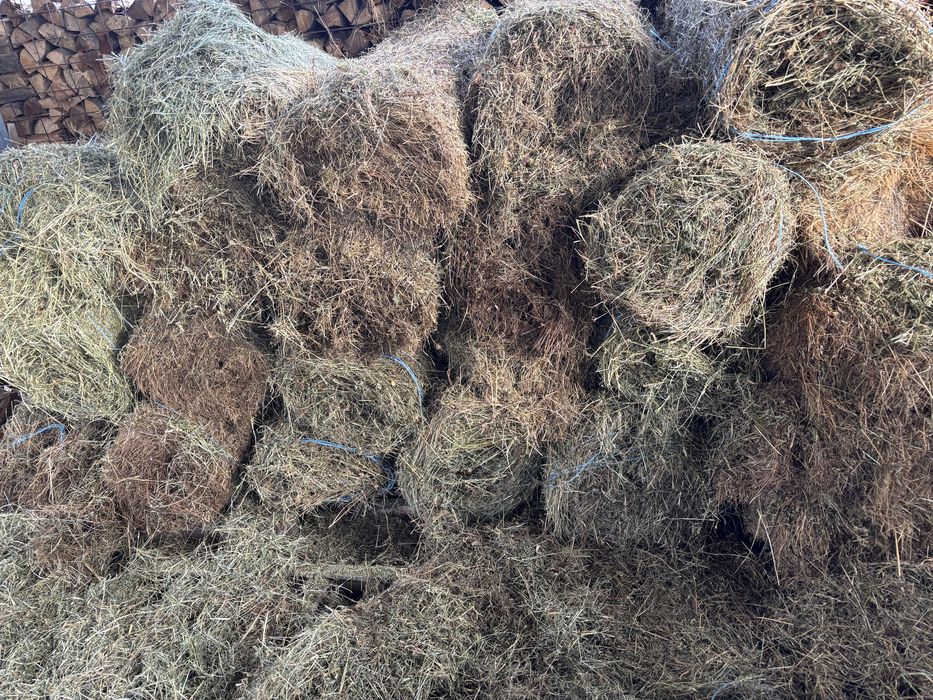 Baloti de otava 90/60