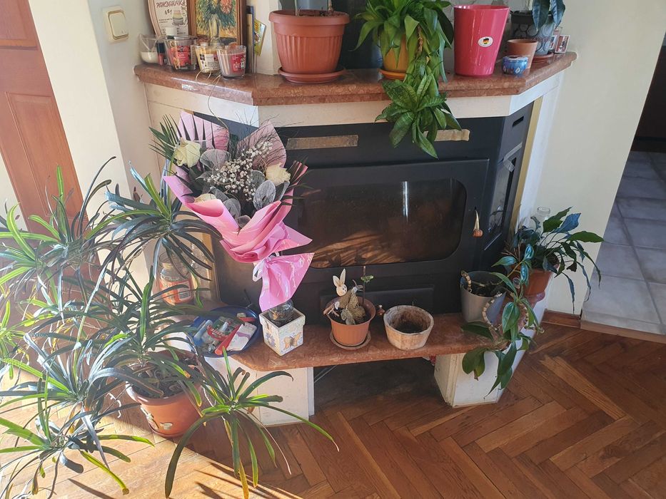 4ст+кухня,монолит,120кв.м.,ет.5,след осн.ремонт,Болницата