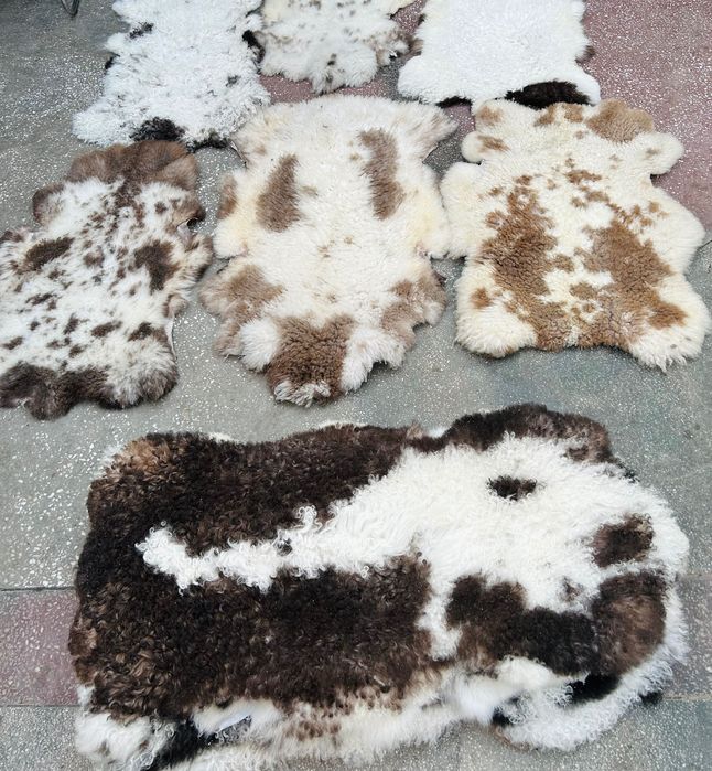 Piele de oaie, blană de oaie tradițională/ naturală