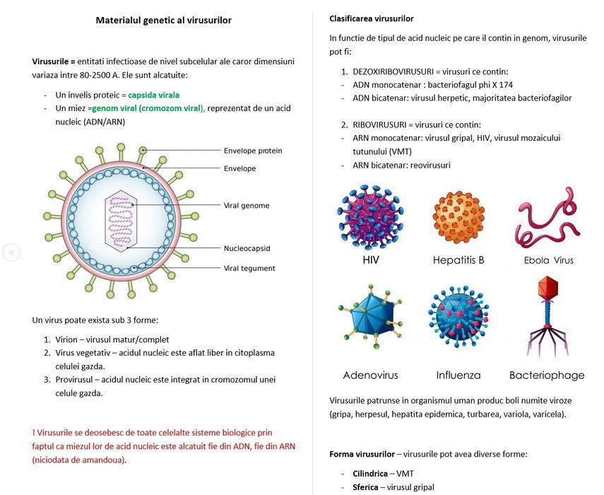 Meditatii bacalaureat biologie clasele 11-12 și admitere