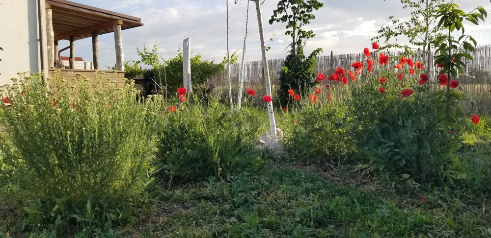 Casa perfecta 3 camere 110 mp, mobilata, teren 400 mp, rasarit si apus