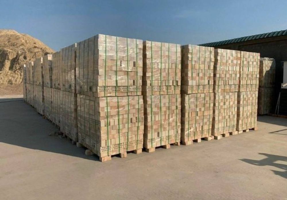 Тешик ва бутун гишт