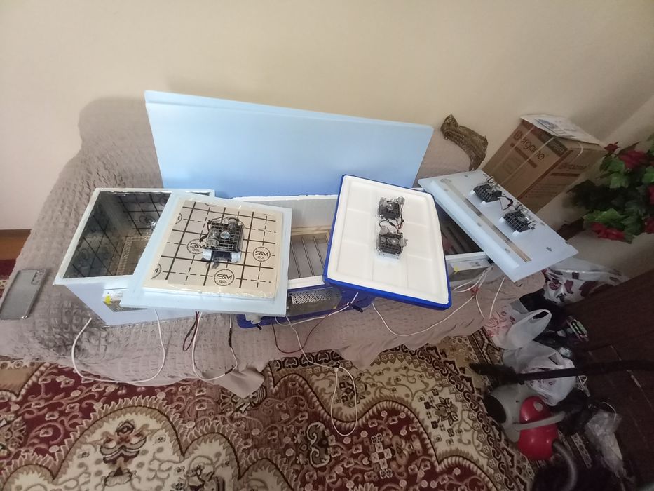 Inkubator yasash xizmati