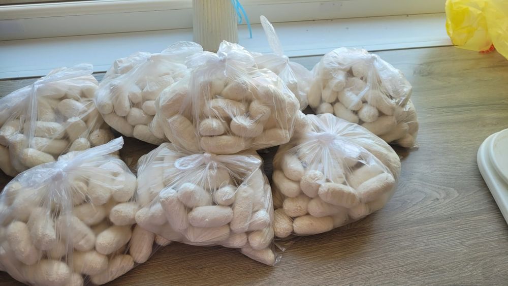 Продам соленый курт,кг 2500