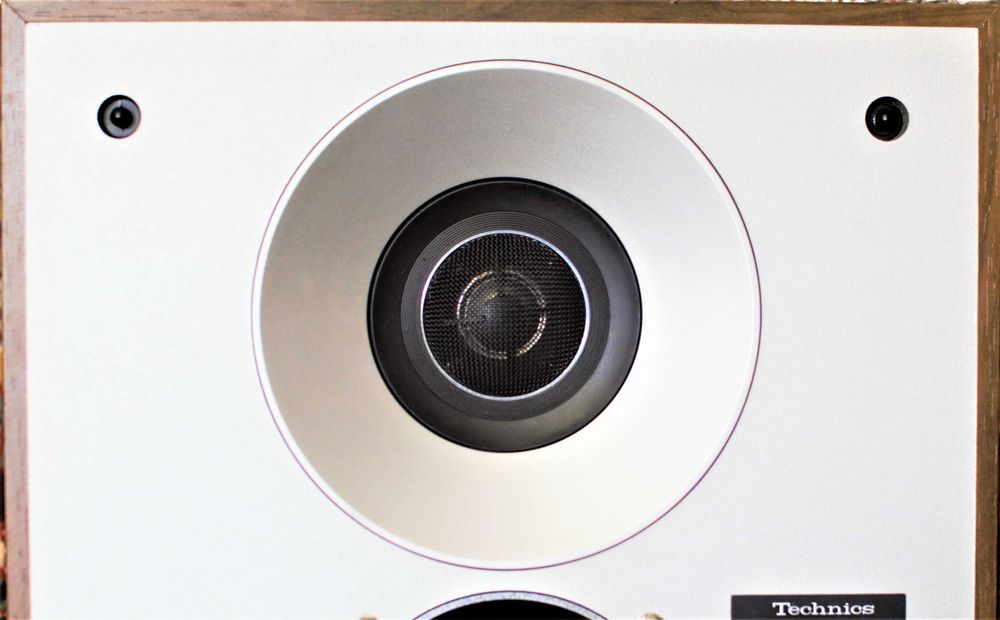 Акустические системы Technics SB-X5