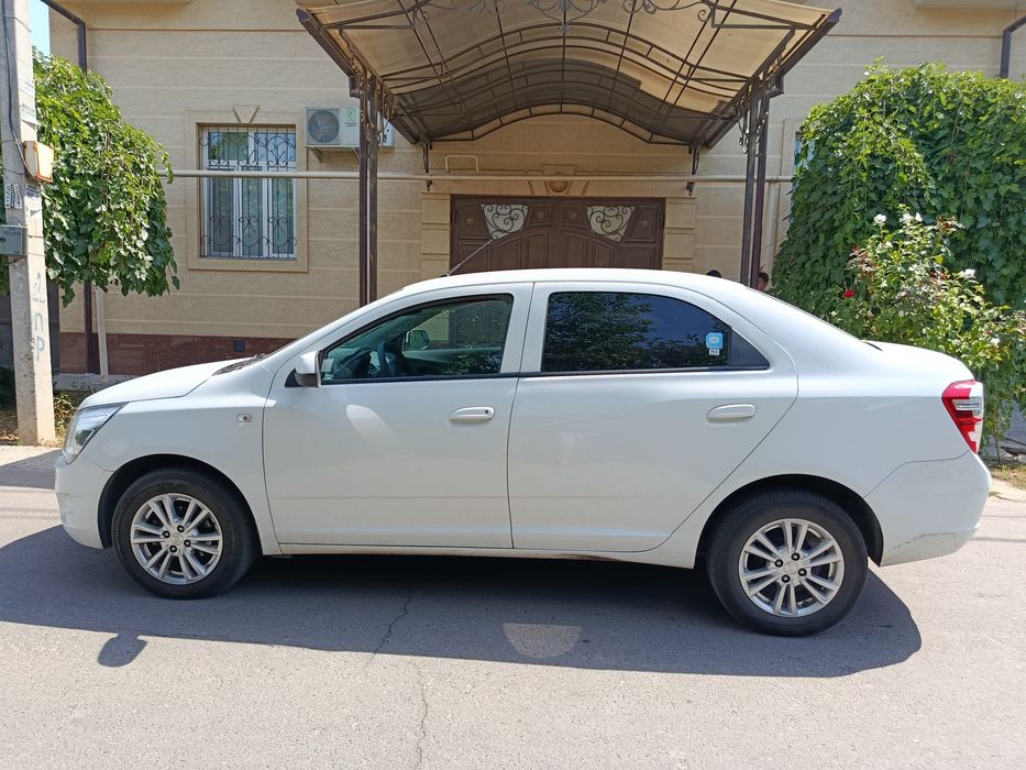 2025 oq ideal cobalt