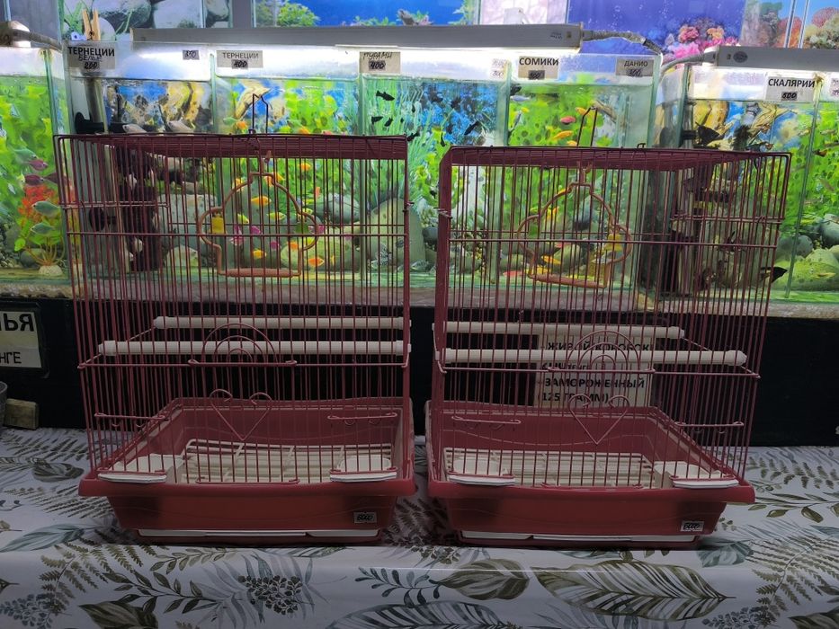 Клеточки для попугаев