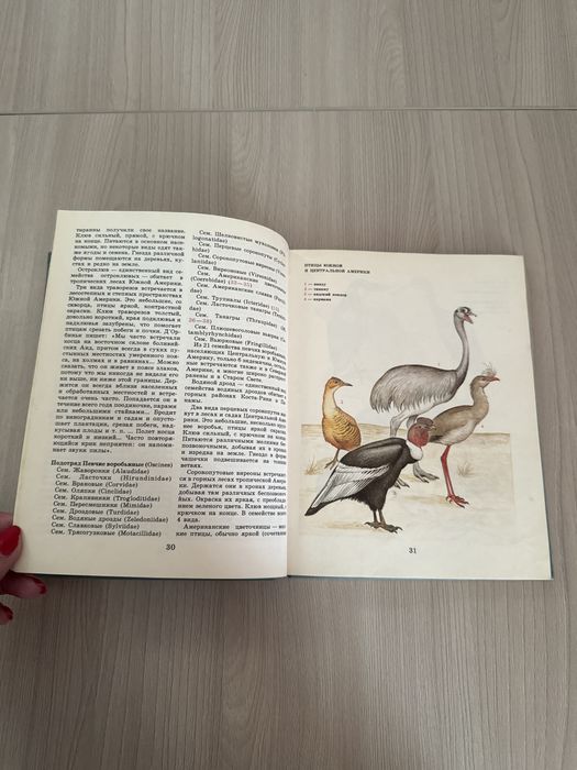 Птицы разных материков книга СССР