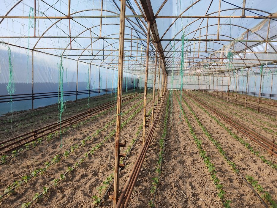 Участка сотилади 15 сотих кадастир дакументлари жойида