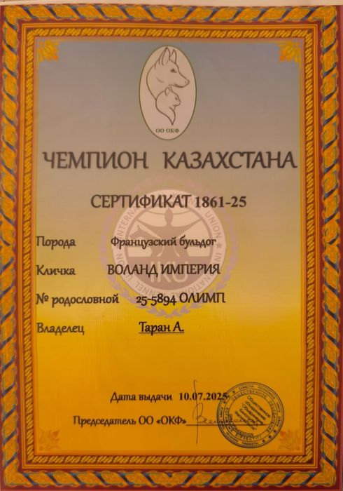 Бронирование французских булочек