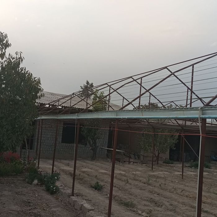 Иссикхона. Парник.