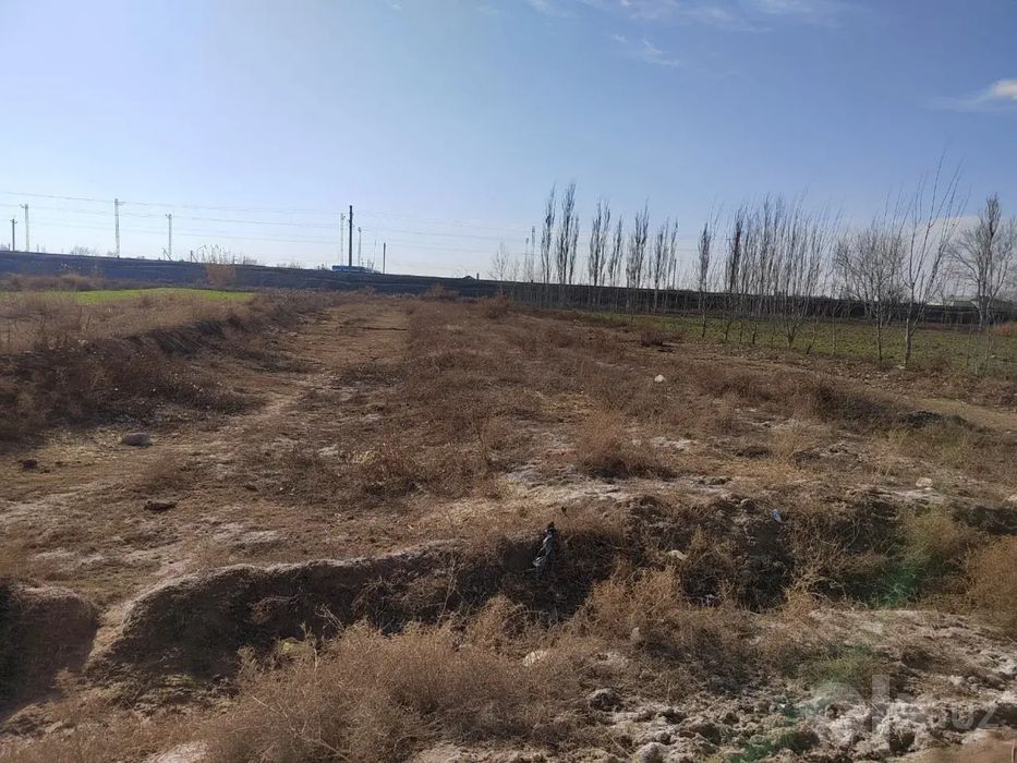 Qarshi shahar muljal chugdima mahalasi