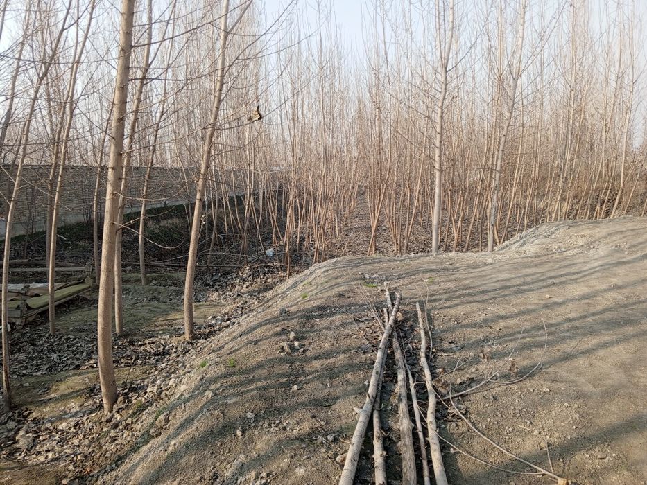 Участка чек сотилади