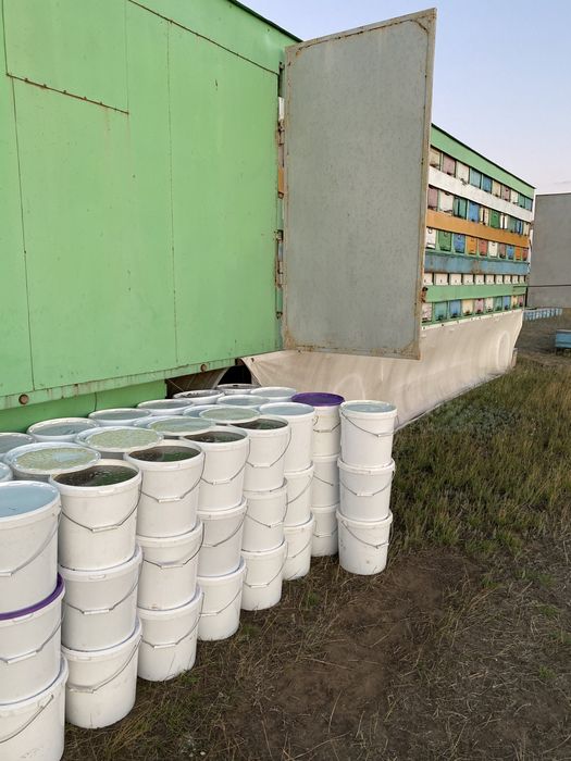 Мёд  со своей пасеки!