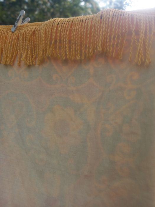 Бұрынғы масаты плюш