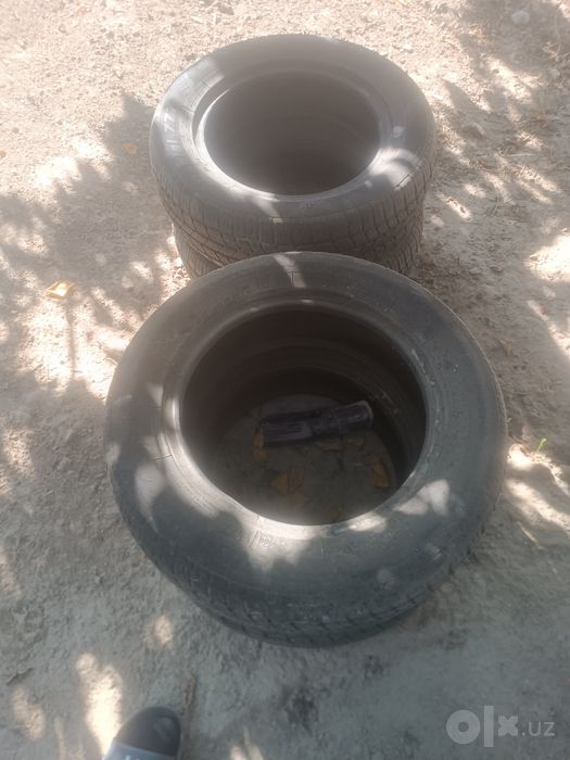 Pakriwka r15 195 ga 65
