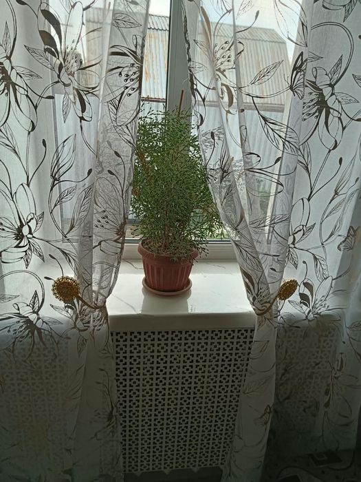 Продам 4 комнатный дом