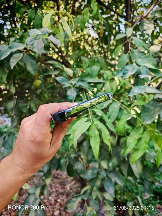 Iphone 13 Pro Max Green