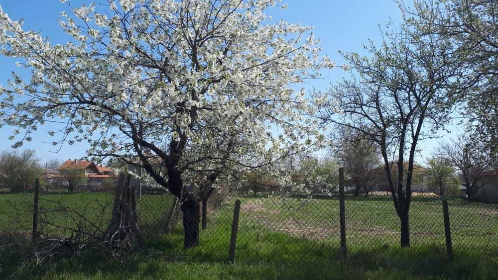 Продава се Парцел в Варна, Автогара - 1086 кв.м за 33 €/кв.м - Снимка #8