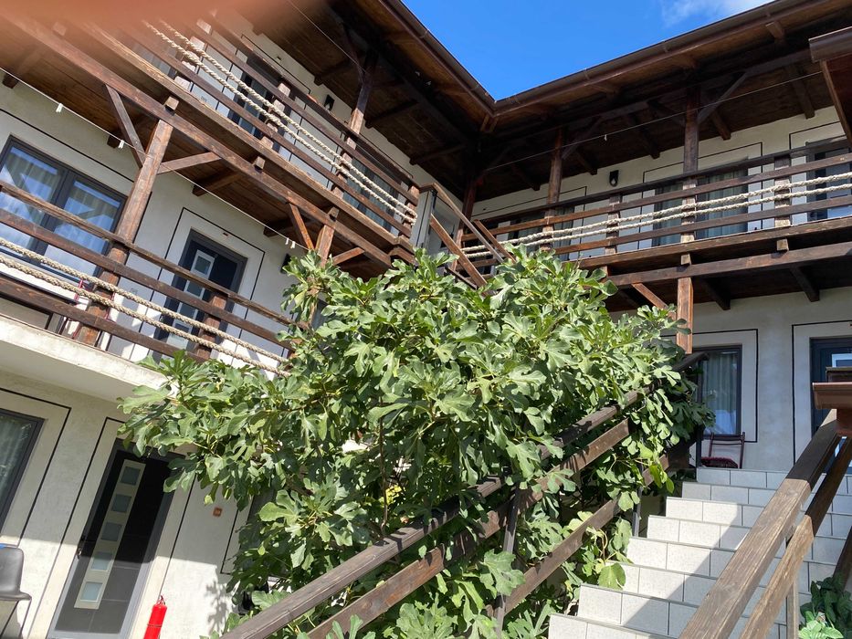 Casa de vacanta cu camere de inchiriat Vama Veche