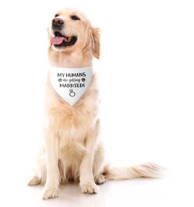 Кучешка бандана за сватба – "My Humans Are Getting Married" – 63x43 см