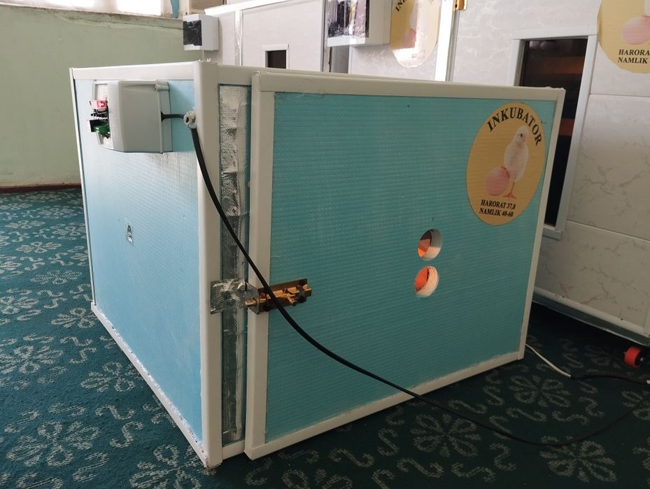 Инкватор 170 талик