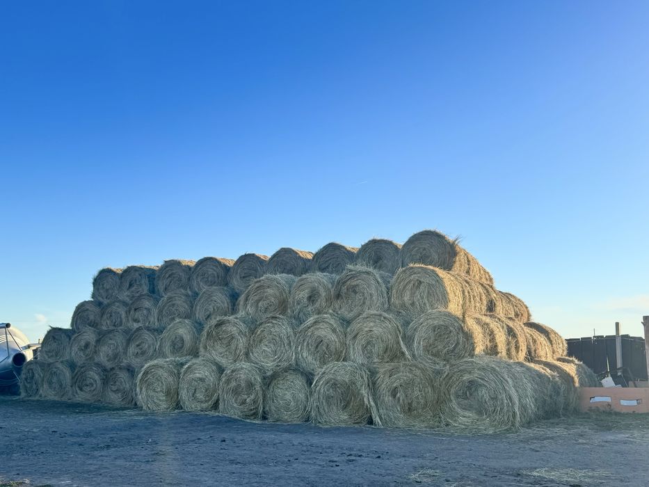 Сено плотное разнотраве