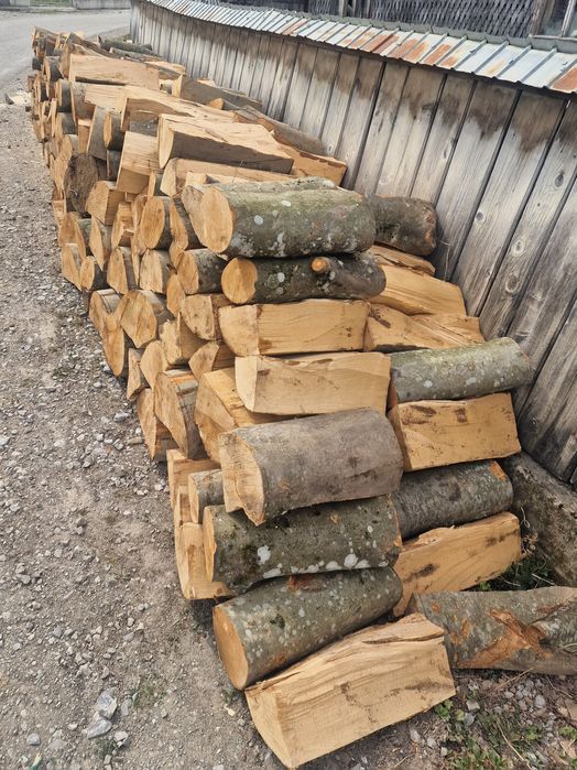 VÂND lemne de fag / asigur transport!