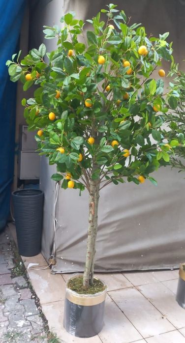 Изкуствени дръвчета за декорация