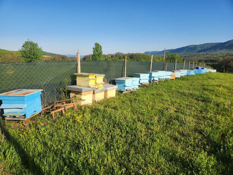 Кошери 45бр. 12рамкови + магазини с изградени рамки