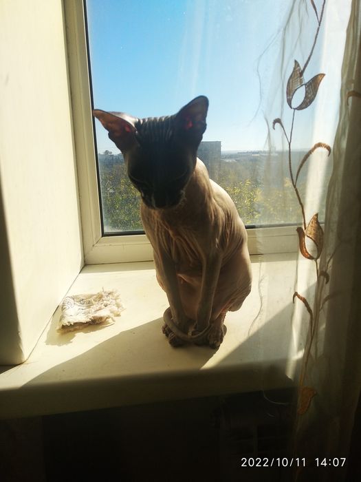 Продам 70.000 тенге