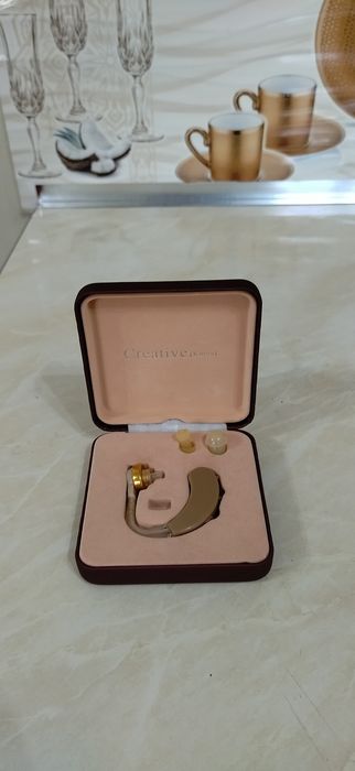 Quloq aparati.Rasmdagi