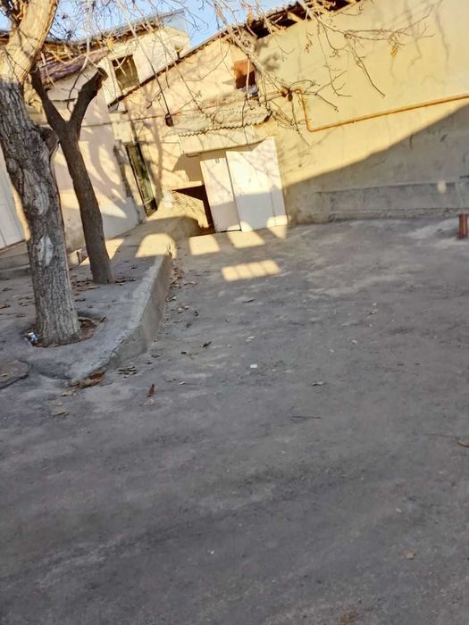 Xovli sotiladi olmazor tumani