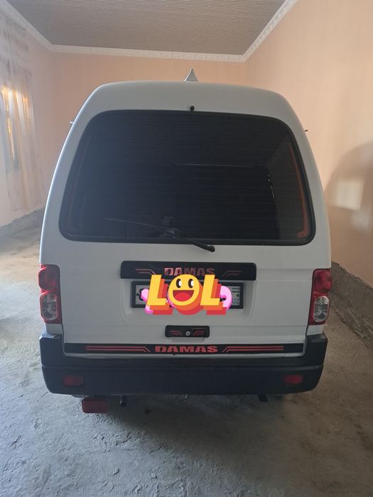 Damas idial, barterga.