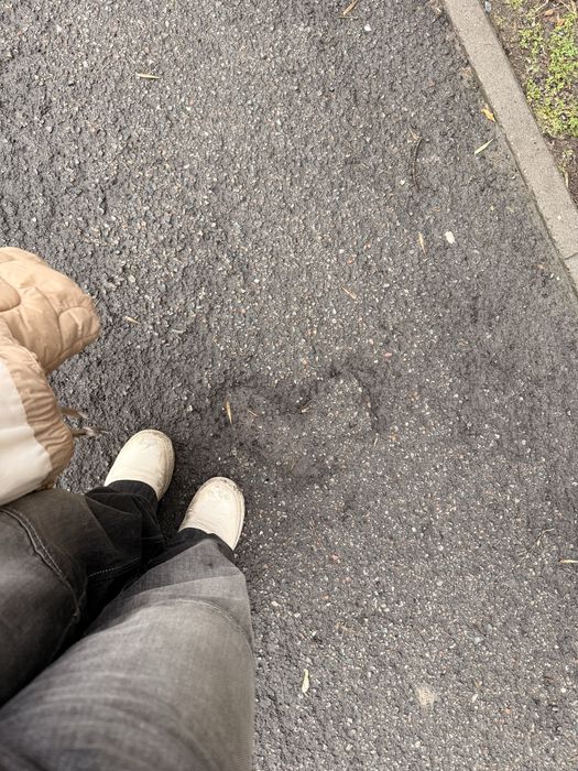 Использованые чёрные носки