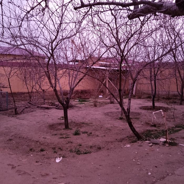 6sotixli katej sotiladi