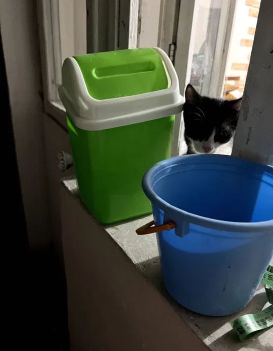 Ведерко и мини мусорка