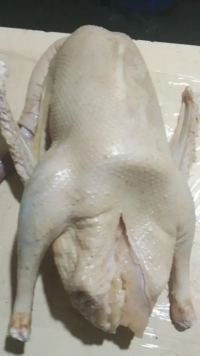 Гусей крупных хороших