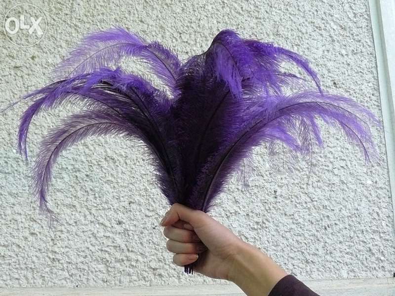 Vand Pene de strut.