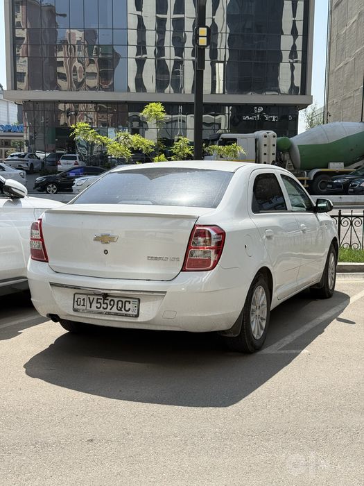 Cobolt 2020 oq 80 min kraska bor