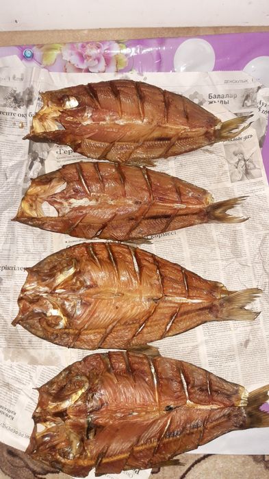 Капченный Толстолоб,Жерих