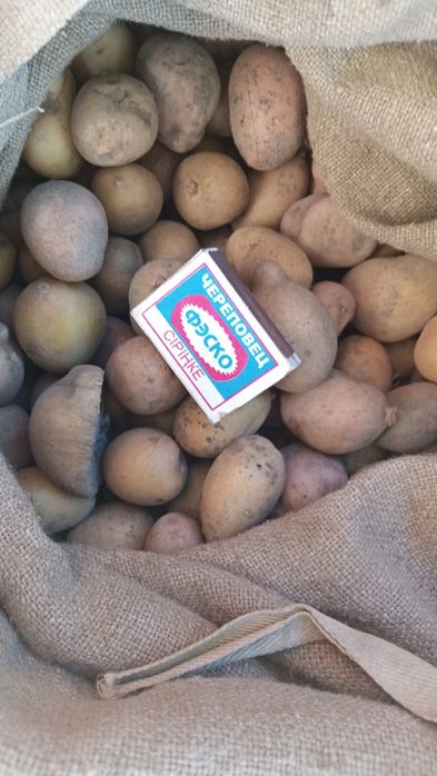 Продам мелкий картофель