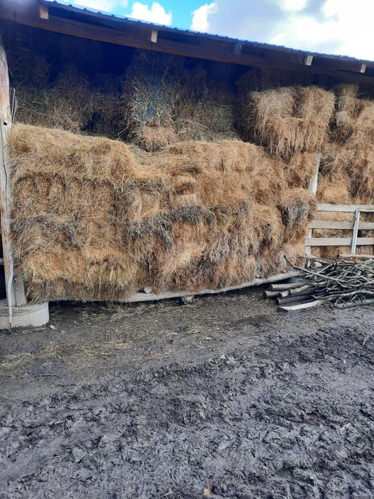 Vând baloți de fân