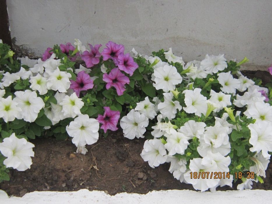 Продажа, .Дом находится в г Экибастузе.