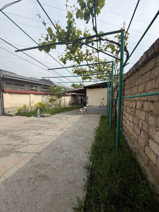 Nurafshon oqtepa 3.8sotih