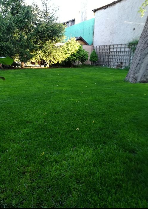 Inchiriez tăvălug,distribuitor seminte,scarificator,nivelator,gazon,